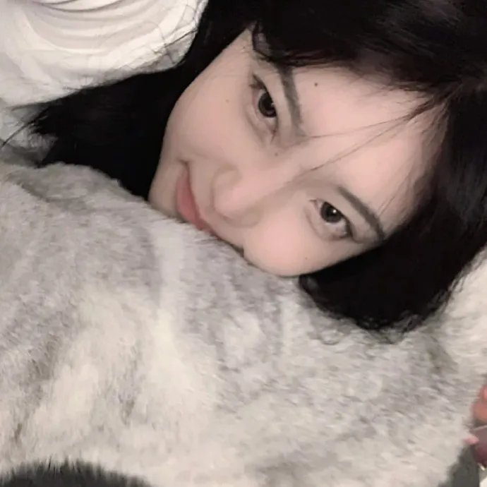 愤怒的蝴蝶